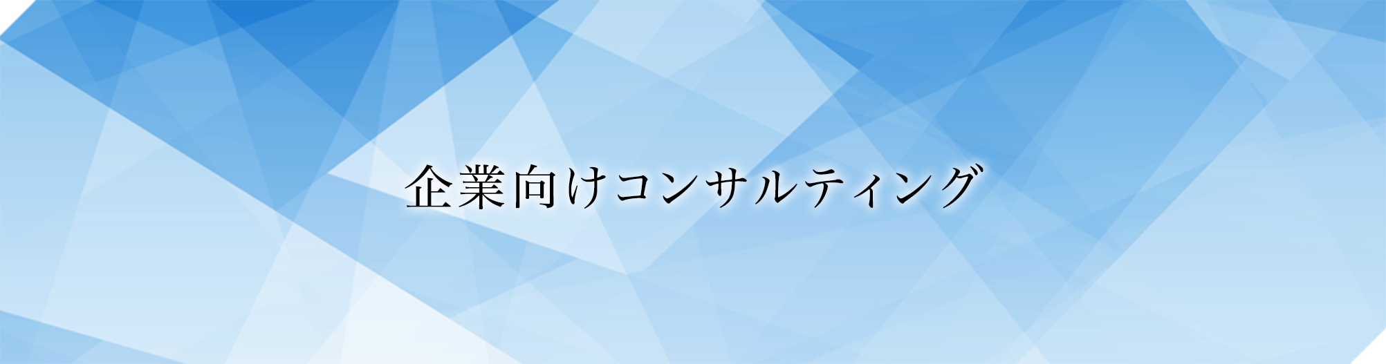 企業向けコンサルティング