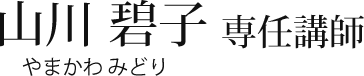 山川 碧子（やまかわみどり）専任講師